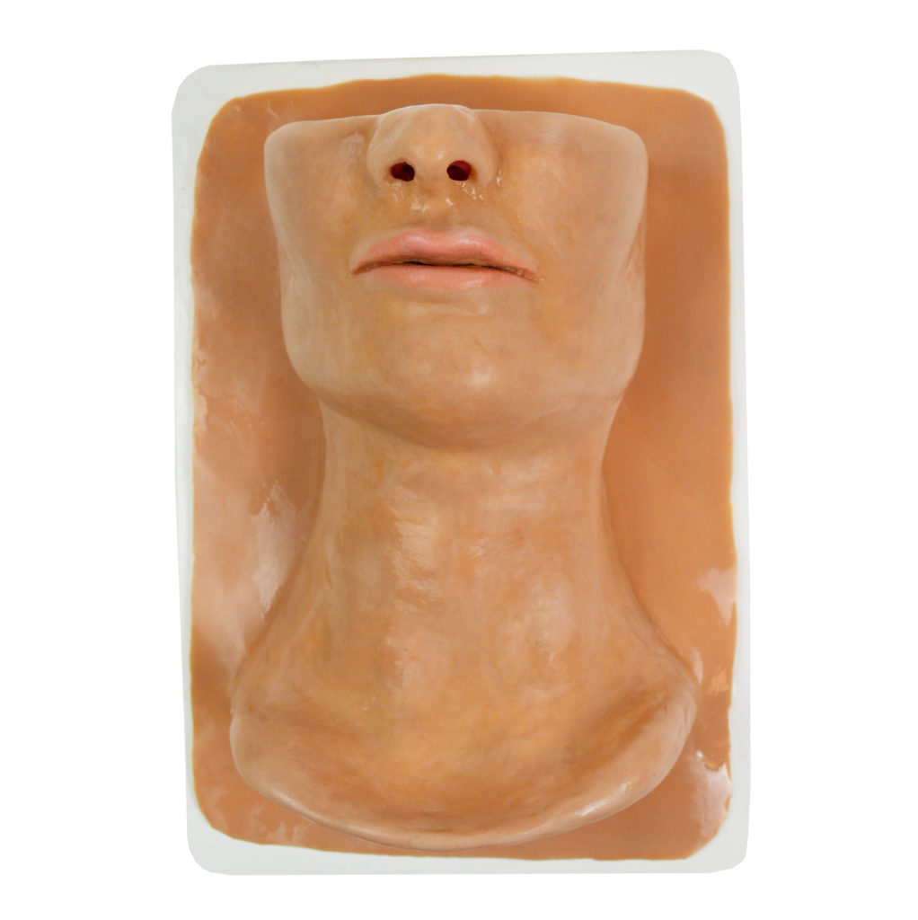 Cric Trainer - Adult - SynAtomy